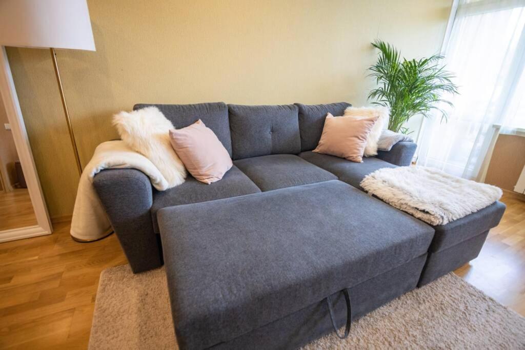 Beautiful & Spacious In