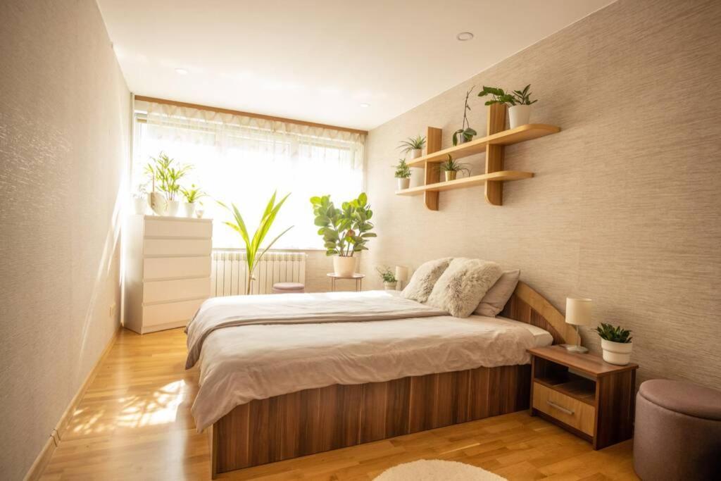 Beautiful & Spacious In Валмиера
