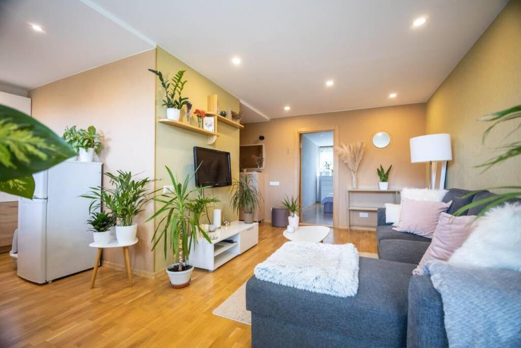 Beautiful & Spacious In Апартамент *