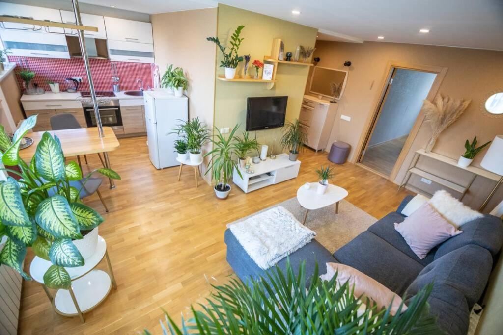 Beautiful & Spacious In Апартамент